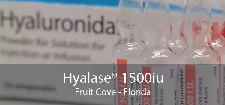 Hyalase® 1500iu Fruit Cove - Florida