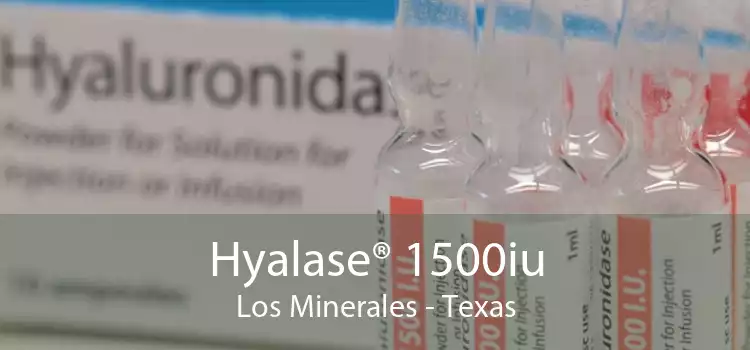 Hyalase® 1500iu Los Minerales - Texas